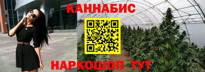 прущие крисы Новозыбков