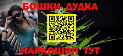 первитин Новодвинск